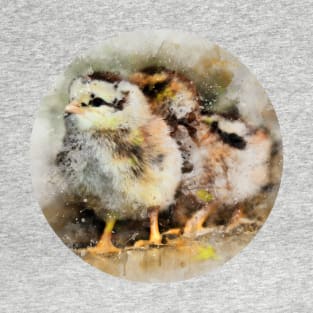 Two chicks just hatched T-Shirt